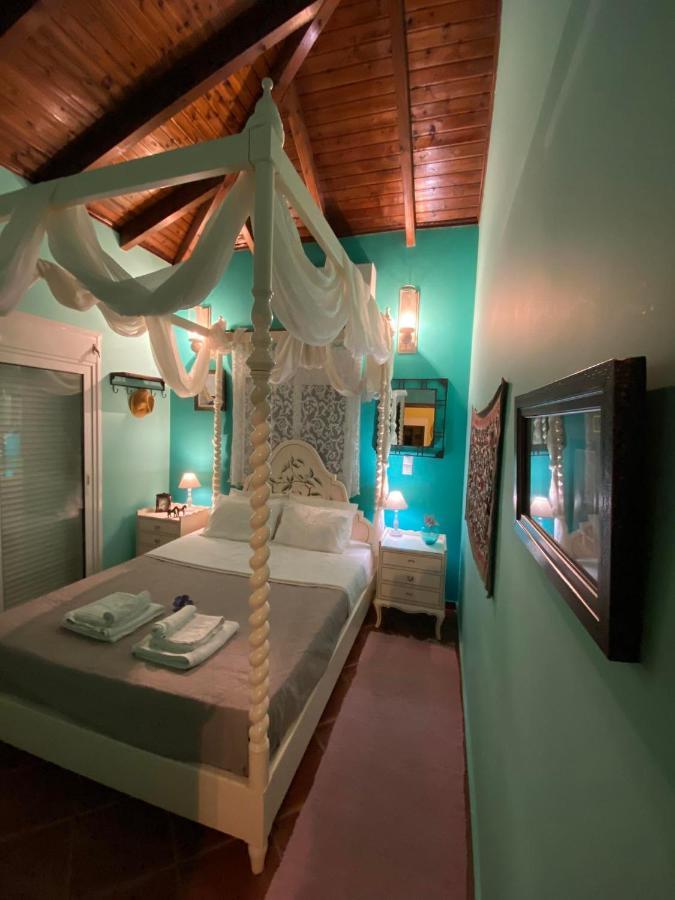 Saronic Seafront Villa Саламис Екстериор снимка